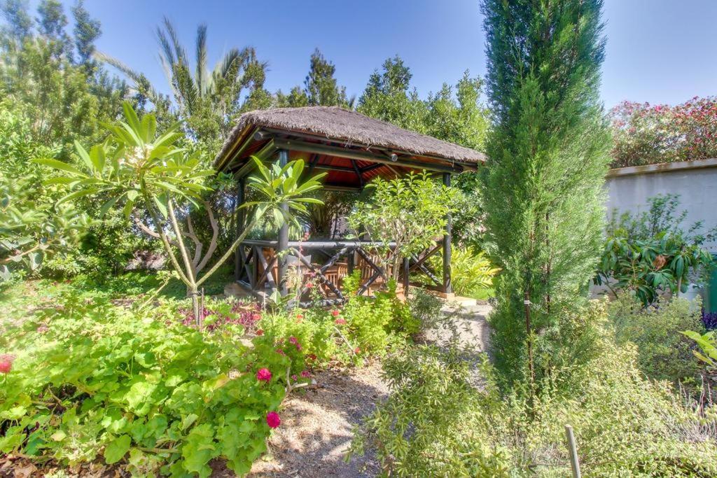 Villa Morera Arafo Exteriér fotografie